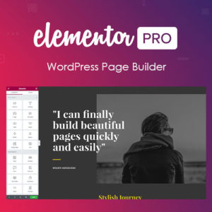 Elementor PRO GPL WordPress Page Builder + Pro Templates [Working]