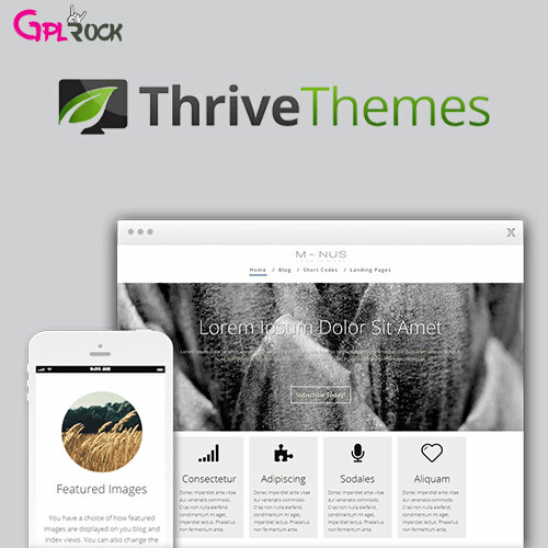 Thrive Themes Minus WordPress Theme