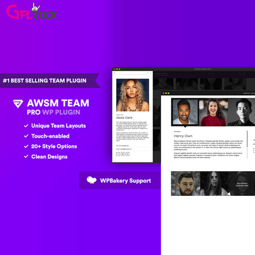 The Team Pro – Team Showcase WordPress Plugin