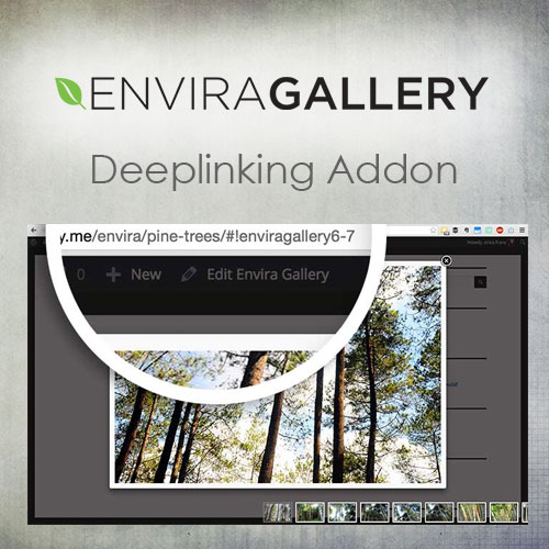 Envira Gallery | NextGEN Importer Addon