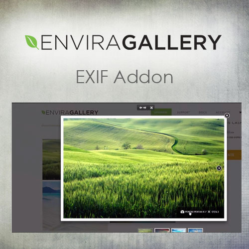 Envira-Gallery-–-EXIF-Addon