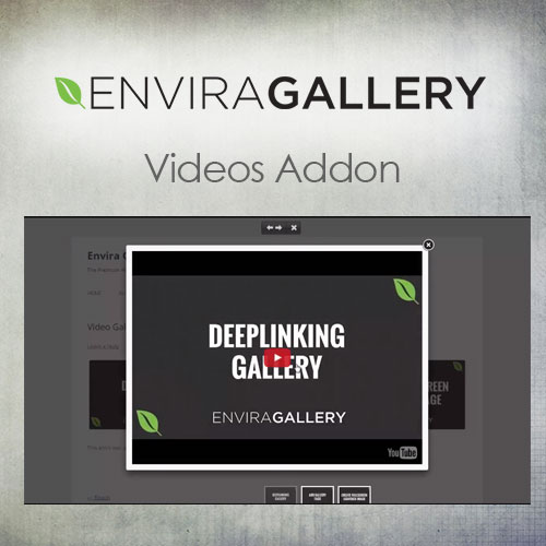 Envira Gallery | Videos Addon